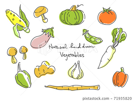 Simple and stylish hand-drawn illustration vegetable set ② 71935820