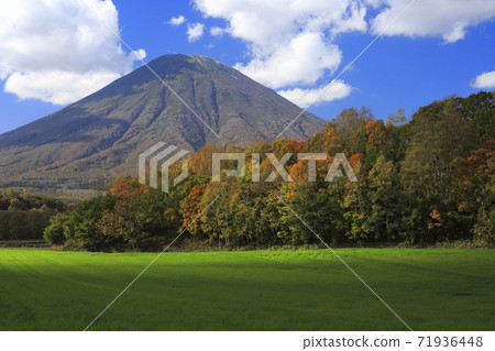 Mt. Yotei and autumnal forest in Kimobetsu Town, Hokkaido Mt. Yotei and autumnal forest in Kimobetsu Town, Hokkaido 71936448