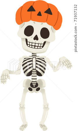 Halloween bone human 71937132