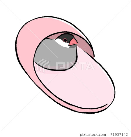 Java sparrow cherry blossoms that slippers liked 71937142