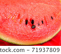 Kodama watermelon variety Pino Girl Suika 71937809