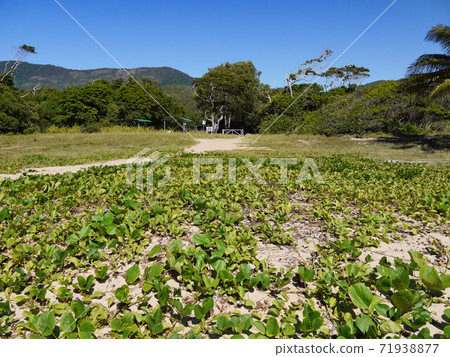 Wangetti Beach 71938877