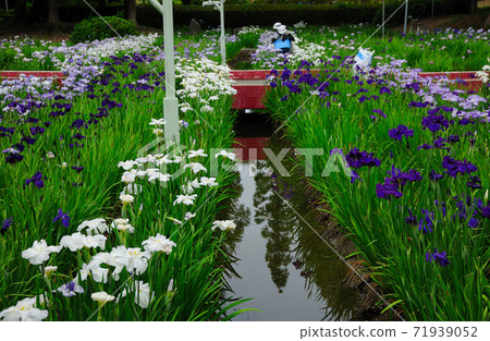 石油是富知水邊公園 石油是富知水邊公園 71939052