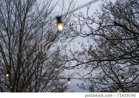 Christmas decorations in london.Christmas ornaments and lights Christmas decorations in london.Christmas ornaments and lights 71939140