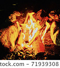 Bonfire on the river 71939308