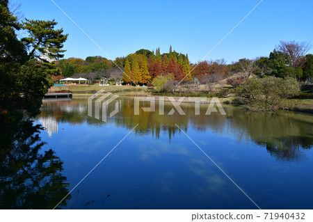 Lawn open space in late autumn, autumnal trees Lawn open space in late autumn, autumnal trees 71940432