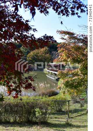 Lawn open space in late autumn, autumnal trees Lawn open space in late autumn, autumnal trees 71940441