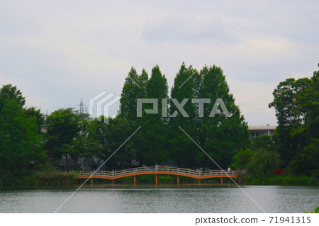 Senzokuike Park in Minamisenzoku, Ota-ku, Tokyo, Iketsuki Bridge can be seen in the center Senzokuike Park in Minamisenzoku, Ota-ku, Tokyo, Iketsuki Bridge can be seen in the center 71941315