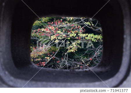Autumn seen from the lantern 71941377