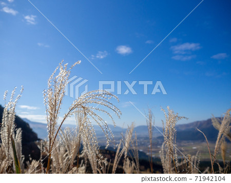 Autumn's blue sky 71942104