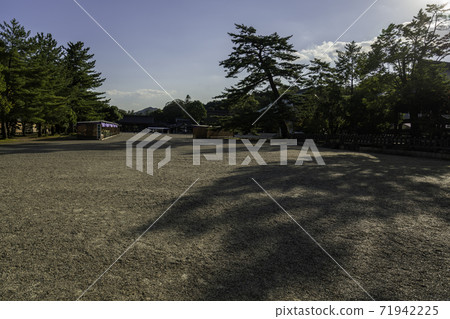Kashihara Jingu Shrine Outer Hall, Kashihara City, Nara Prefecture 71942225