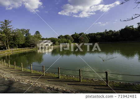 Kashihara Jingu, Fukadaike, Kashihara City, Nara Prefecture Kashihara Jingu, Fukadaike, Kashihara City, Nara Prefecture 71942481