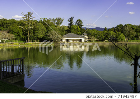 Kashihara Jingu, Fukadaike, Kashihara City, Nara Prefecture 71942487