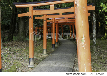 Kashihara Jingu Shrine Nagayama Inarisha Kashihara City, Nara Prefecture 71942504