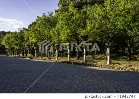 奈良縣K原市原原表參道 奈良縣K原市原原表參道 71942747
