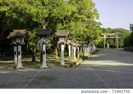 Kashihara Jingu Omotesando, Kashihara City, Nara Prefecture Kashihara Jingu Omotesando, Kashihara City, Nara Prefecture 71942750