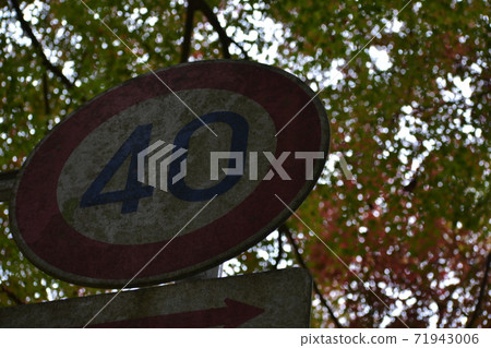 Gokei, mossy sign 71943006