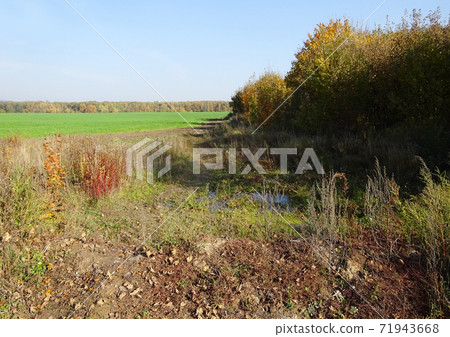 dirt road in the field 71943668