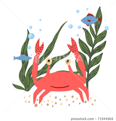 Composition crab with fish and seaweed isolated on white background. Cartoon cute red color in doodle. Composition crab with fish and seaweed isolated on white background. Cartoon cute red color in doodle. 71944968