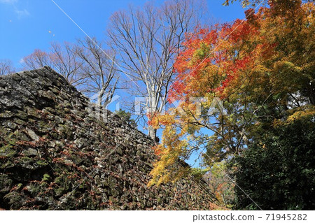 奈良縣高取城堡的秋葉 71945282