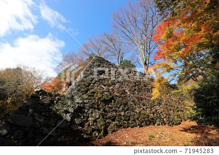 奈良縣高取城堡的秋葉 71945283