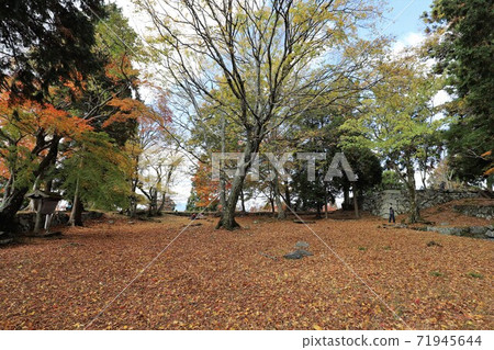 Autumn leaves of Takatori Castle, Nara Prefecture Autumn leaves of Takatori Castle, Nara Prefecture 71945644
