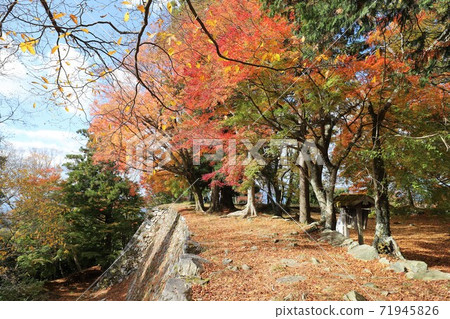 Autumn leaves of Takatori Castle, Nara Prefecture Autumn leaves of Takatori Castle, Nara Prefecture 71945826