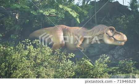 The Tyrannosaurus Rex dinosaur slowly creeps up on its prey in a thicket of green prehistoric jungle. View of the green prehistoric jungle forest on a Sunny morning. 3D Rendering. 71946829