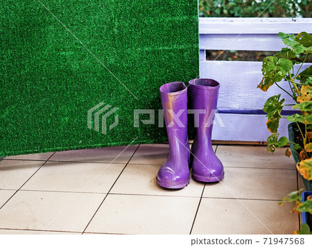 Two purple wellingtons stand on the green door on the street Two purple wellingtons stand on the green door on the street 71947568