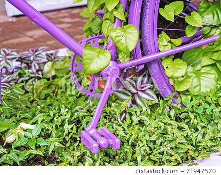 Purple bike pedal and part of the rear wheel in green leaves close up 71947570