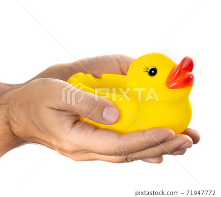 Yellow inflatable rubber duck in hands Yellow inflatable rubber duck in hands 71947772