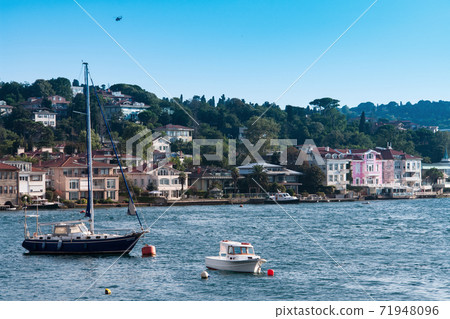 Bosphorus coast scene 71948096