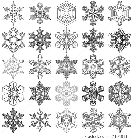 25 types of realistic ice crystal icons, black vector for brushes 71948113