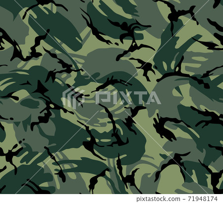 Camouflage seamless pattern 71948174