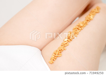 Wax beans in row on leg. 71949250