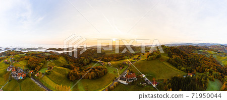 Aerial panorama from Eckberg at Autumn grape hills and foggy Alps in distance. 71950044