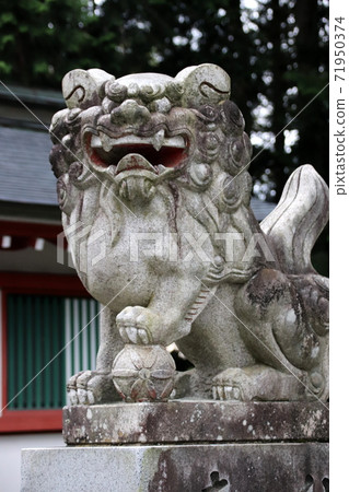 富士大室淺間神社的守護犬 富士大室淺間神社的守護犬 71950374