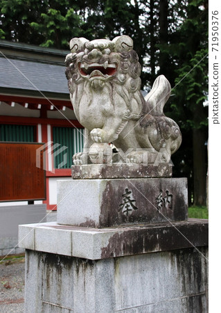 富士大室淺間神社的守護犬 71950376
