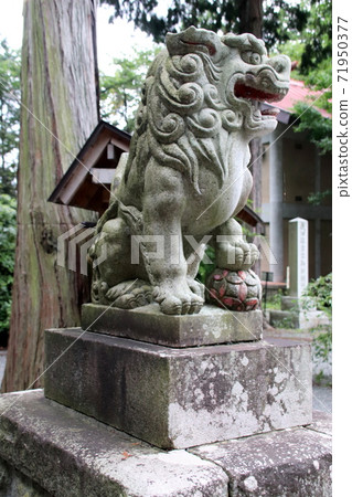 The guardian dog of Fuji Omuro Asama Shrine The guardian dog of Fuji Omuro Asama Shrine 71950377