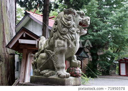 富士大室淺間神社的守護犬 富士大室淺間神社的守護犬 71950378