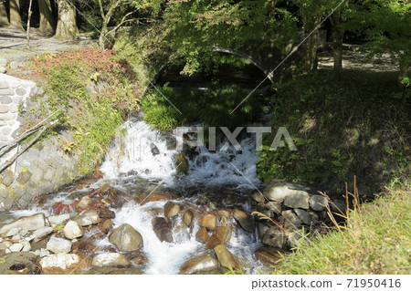 Kumamoto Prefecture Aso Ikeyama Springhead, Kumamoto Prefecture Aso Ikeyama Springhead, 71950416