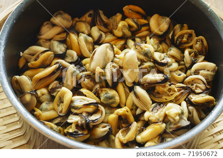 貽貝,戶外 貽貝,戶外 71950672