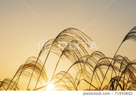 Sunrise, Buan-gun, Jeonbuk Sunrise, Buan-gun, Jeonbuk 71950682