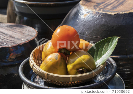 Persimmon, fruit, outdoor Persimmon, fruit, outdoor 71950692