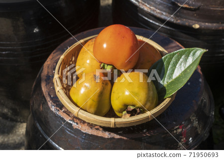 Persimmon, fruit, outdoor Persimmon, fruit, outdoor 71950693