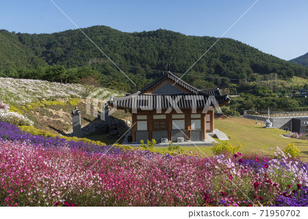 Jeongeup, Jeonbuk Jeongeup, Jeonbuk 71950702