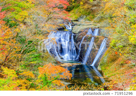 秋天的落葉和生瀨瀑布 71951296
