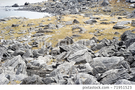 Gray textured rocks among yellow grass. Gray textured rocks among yellow grass. 71951523