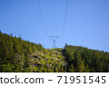 Power lines and tower passing through forest. 71951545