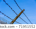 Focus on rusted barbed wires against blue sky. 71951552